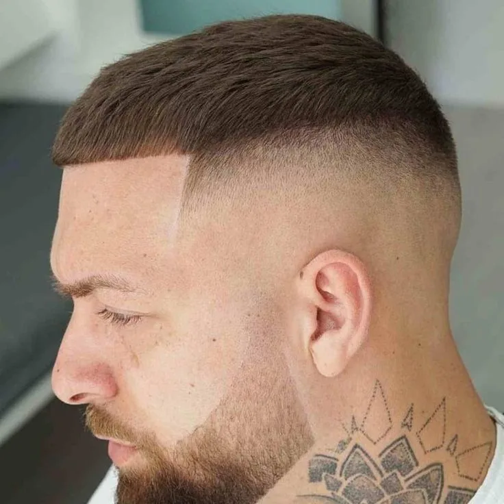 6dcabfa492adfa514eb3a08ecaeac914