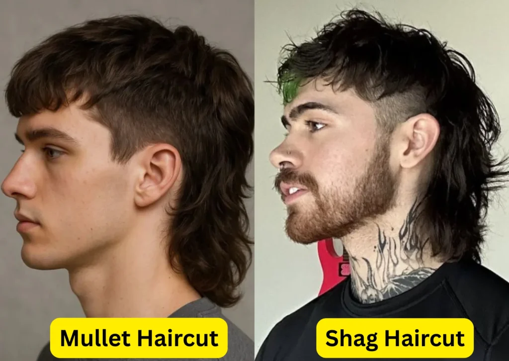 Mullet vs Shag Haircut

