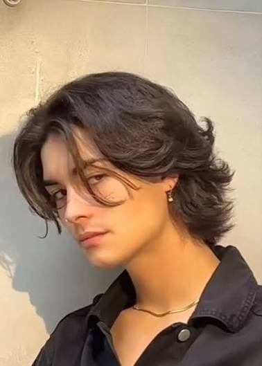 Wolf Cut 16 Wolf Cut Men Wavy Hair