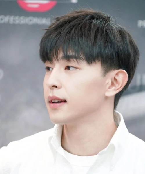Classic Modern Bowl Cut
