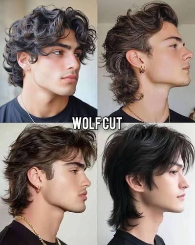 Wolf Cut 22 Wolf Cut for Oval Face Men