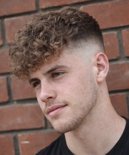 Curly Top with Low Fade