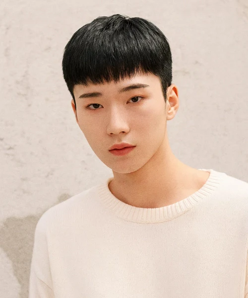 Short Bowl Cut High and Tight