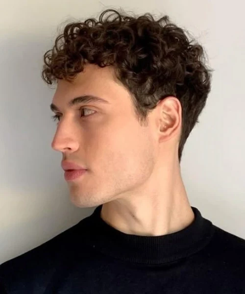 Short Curly Haircut Crew Cut Variation